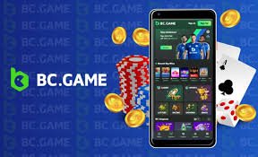 Comprehensive Overview of Payment Methods at BC Game